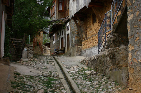 DOĞU TURU